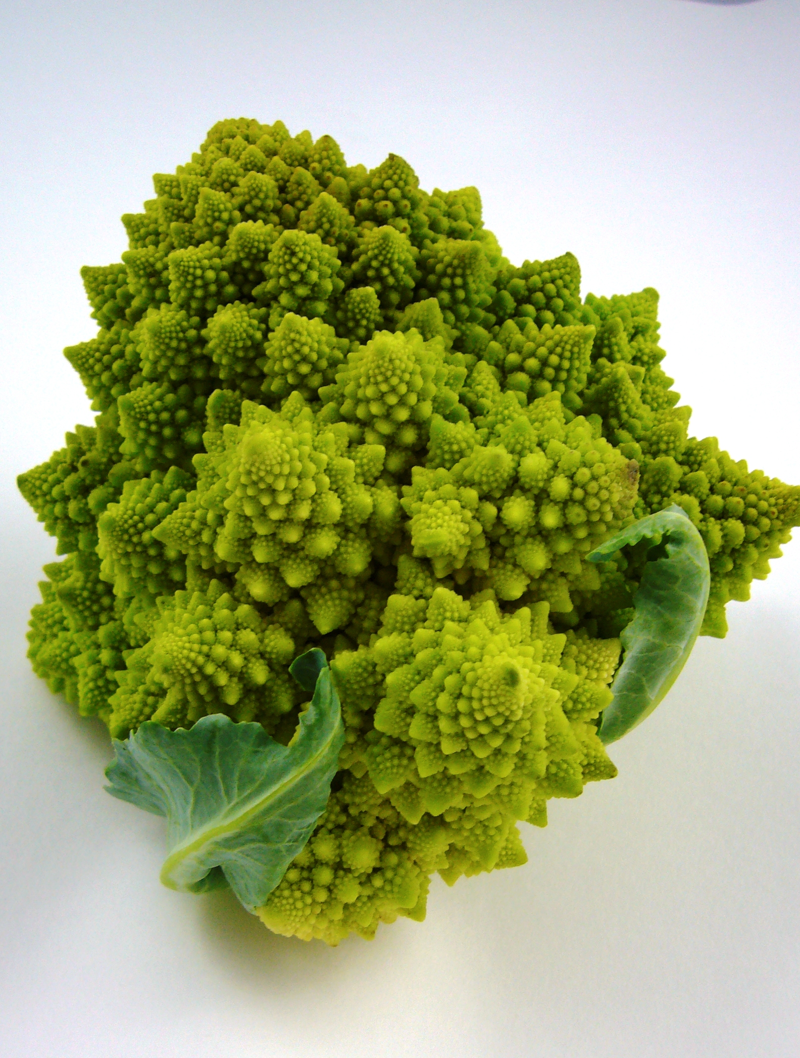 Brócoli romanesco con patrón fractal