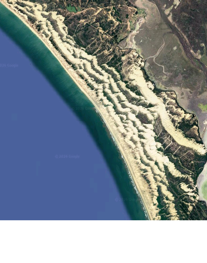 Dunas libres transversales del Parque Nacional de Doñana