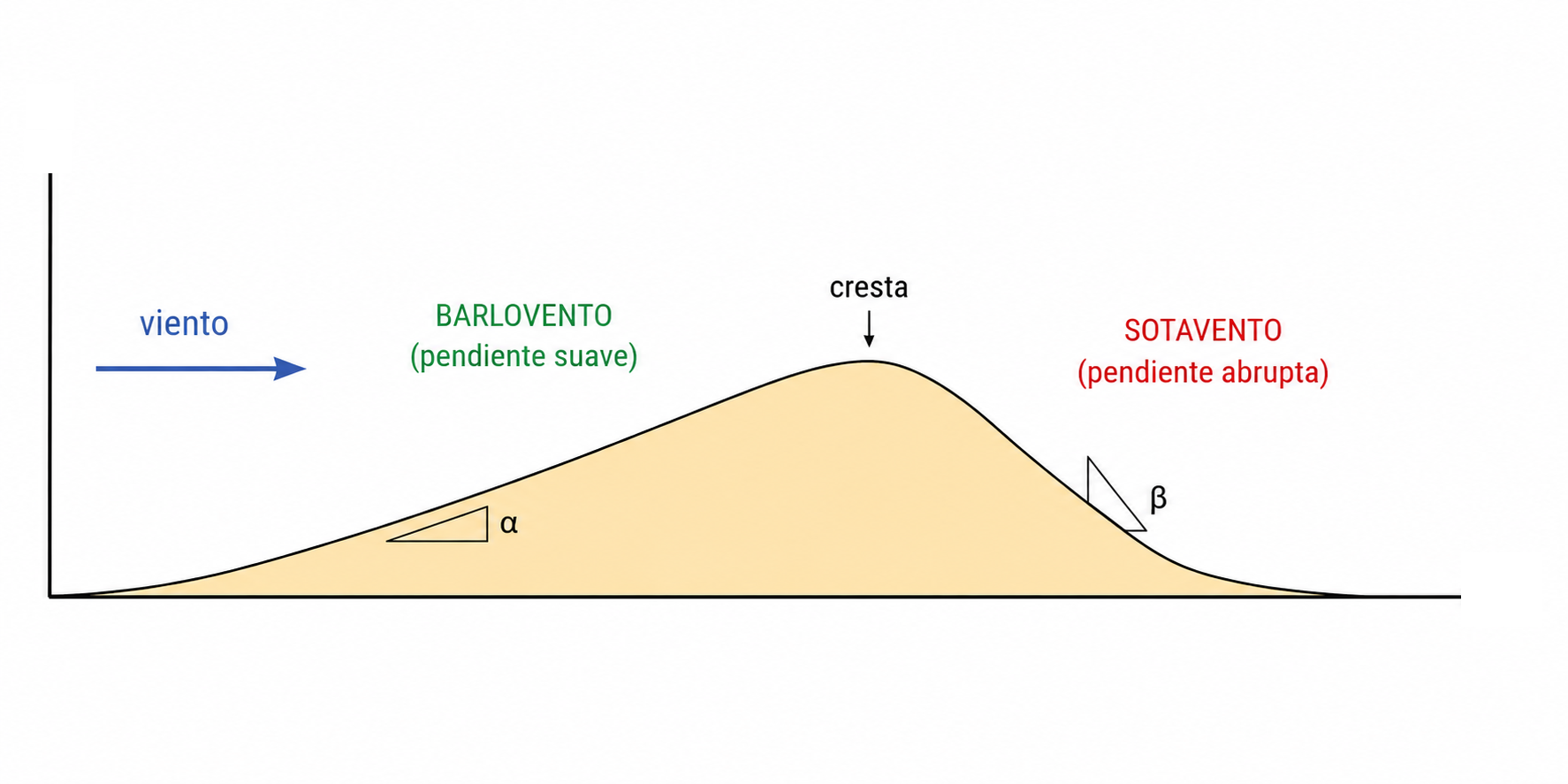 Estructura de una duna típica